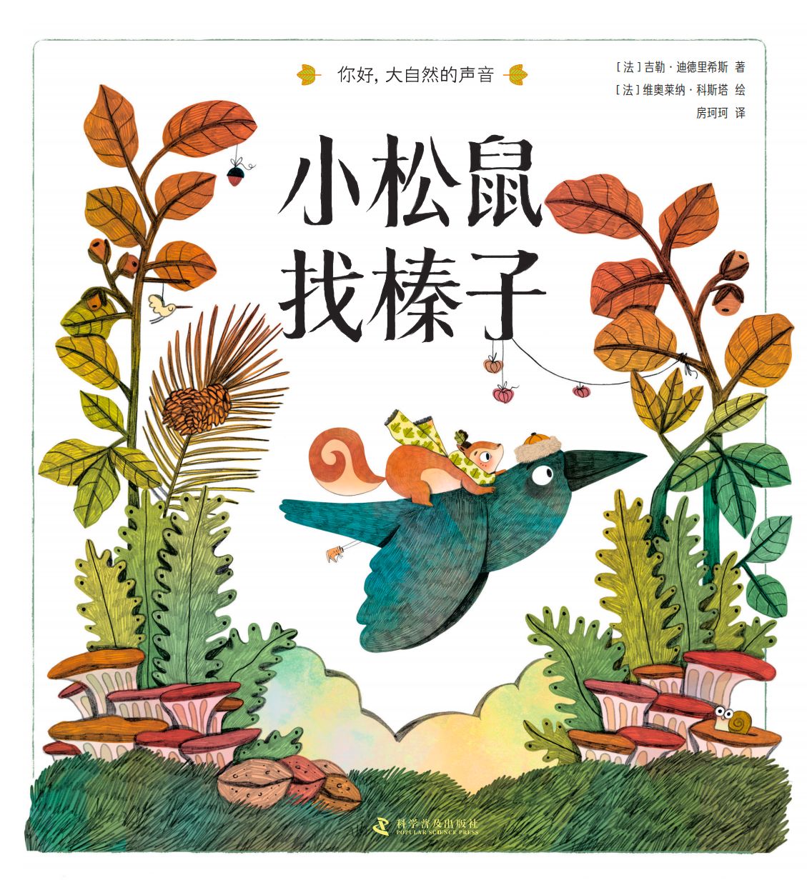 《小松鼠找榛子》封面